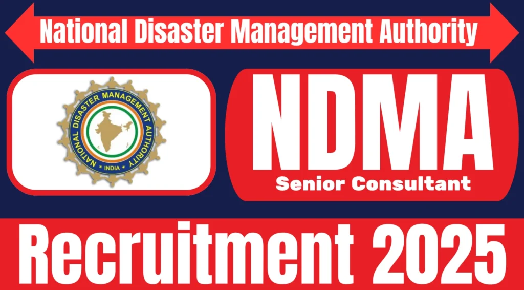 NDMA Recruitment 2025 1.webp