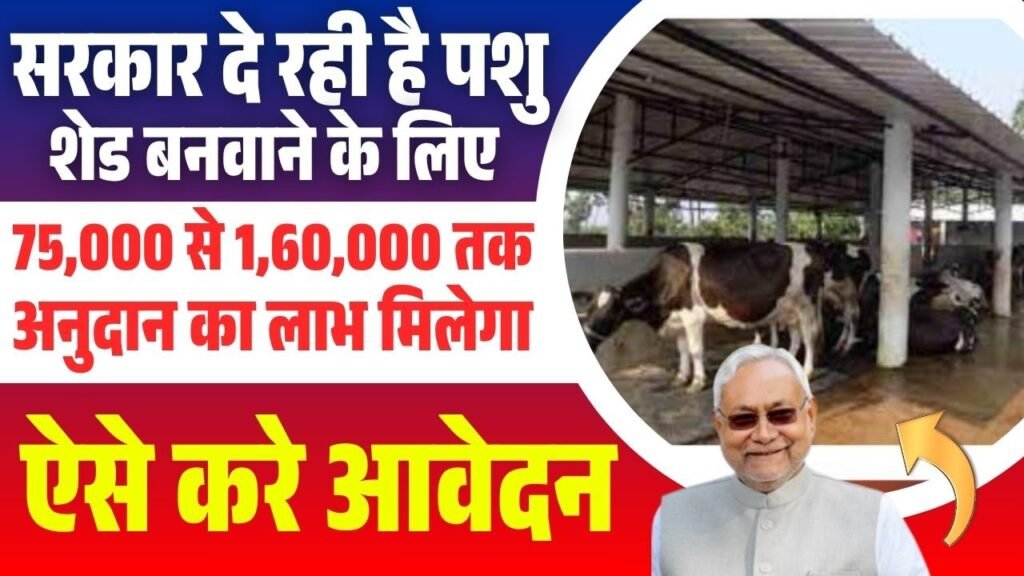 WhatsApp Image 2025 06 13 at 12.12.19 PM