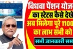 WhatsApp Image 2025 06 26 at 16.12.58 min